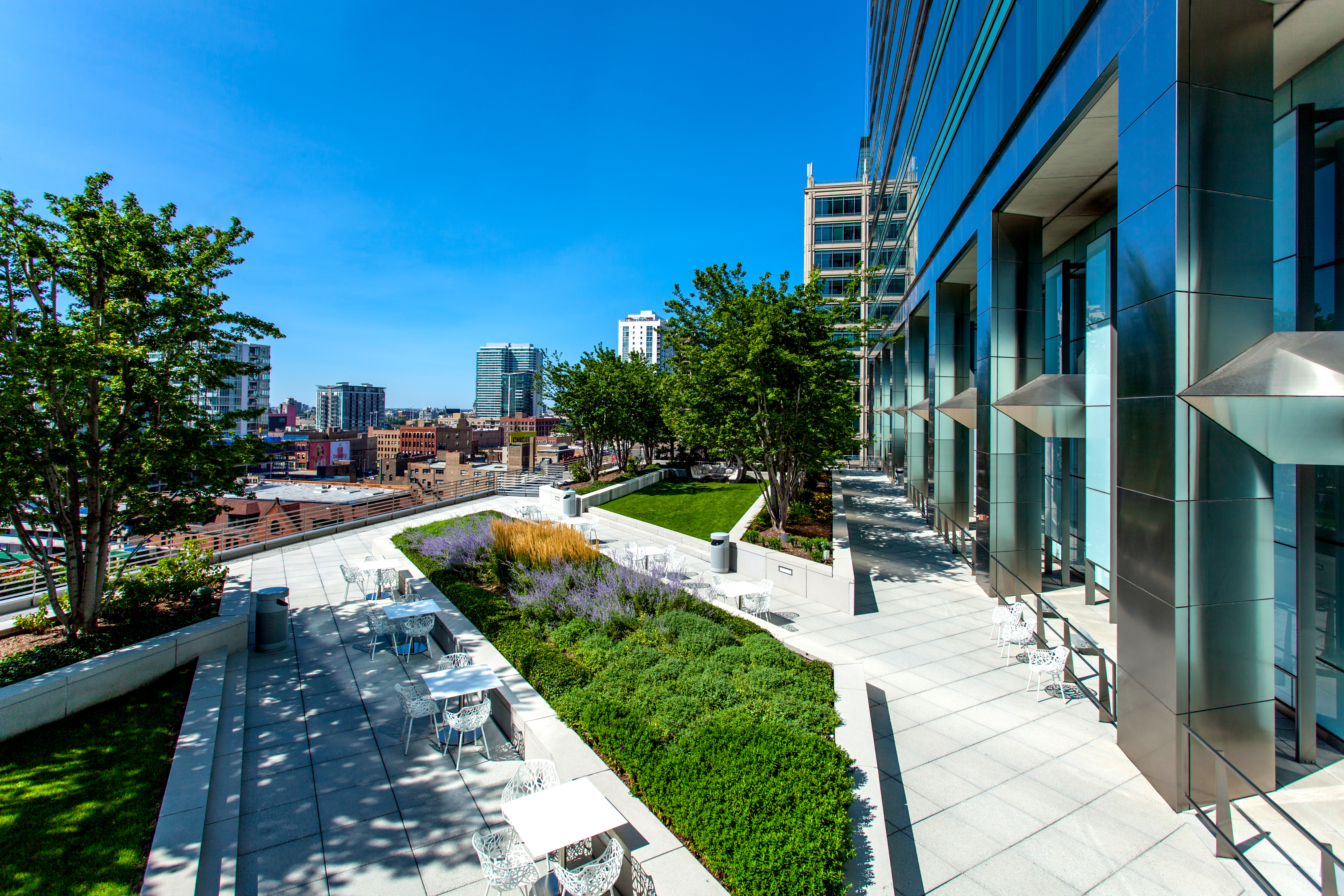 Roof Garden